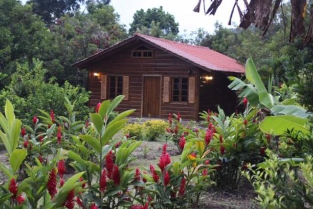 Hospedaje En El Lago San Pedro Sula Exterior photo